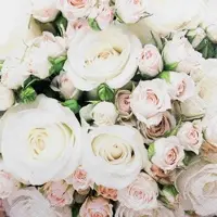 Home Fashion , Romantic Roses, Lunch-Servietten aufgefaltetes Maß 33 cm x 33 cm, im Viertelfalz, 20 Stück pro Pack, 12 Pack pro Karton