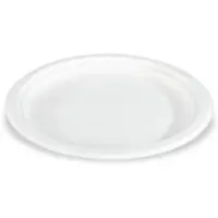 Plock GmbH Teller Sobsy aus Zuckerrohr - 500 Einwegteller - 23cm - 100% kompostierbar