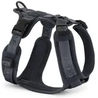MiaCara - Modena Hundegeschirr XS, asphalt