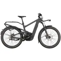 Riese & Müller Delite5 GT Pinion 800 Wh grau - 27,5" - 56 cm