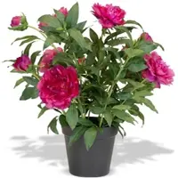 Fleur Ami Pfingstrose (Paeonia) Kunstpflanze mit 11 Blüten pink