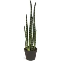 Fleur Ami Sansevieria cylindrica - Zylindrischer Bogenhanf Kunstpflanze