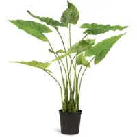 Fleur Ami Zebra-Elefantenohr - Alocasia Zebrina Kunstpflanze 61 cm