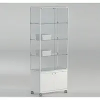JTI-Vitrine Glas Vitrine mit Unterschrank 2 Türen JT-A71MP
