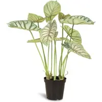 Fleur Ami Alocasia - Elefantenohr Kunstpflanze 66 cm