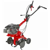 Eurosystems E3-EVO RM Benzin-Motorhacke Motor Rato RV170S-Pro