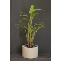 Fleur Ami Hochwertige Bananenpflanze - Musa künstlich
