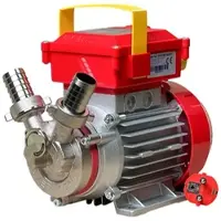 Rover Pompe Rover Novax 25 By-Pass Elektrische Umfüllpumpe aus antioxidierender Legierung 230 V
