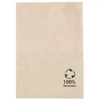 Greenbox - rPapier-Eis-Servietten 12 x 8,5 cm, 1-lagig, gefaltet, ungebleicht, 9600 St.