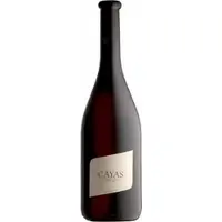 Domaine Jean René Germanier Cayas Syrah Réserve 2020 - Domaine Jean-René Germanier