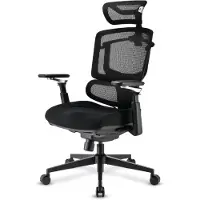 Sharkoon OfficePal C50