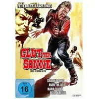 Explosive Media Glut der Sonne (DVD)