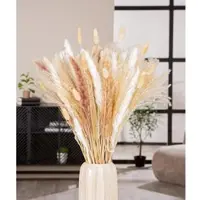 Gilde Bündel Seco Naturfarben 53 cm