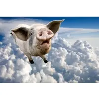 Papermoon Fototapete "Fliegende Schweine", bunt, B:3m L:2,2m, Vlies, Tapeten, Fototapete
