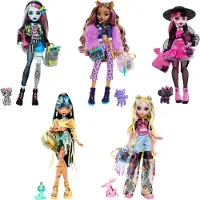 Monster High Core Puppen-Sortiment, Modepuppe, Weiblich, 4 Jahr(e), Junge/Mädchen, 285,7 mm, 250 g