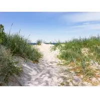 Papermoon Fototapete "Dünen in der Ostsee", bunt, B:4,5m L:2,8m, Vlies, Tapeten, Fototapete