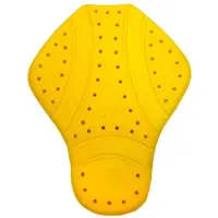 Rainers Rückenprotektor