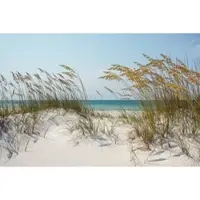Papermoon Fototapete "Ocean Beach Dunes", bunt, B:4m L:2,6m, Vlies, Tapeten, Fototapete