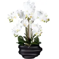 Creativ Green künstliche Pflanze Phalaenopsis x5, ca 75cm weiss, in Kunststoffvase schwarz 30x17x12cm, Real Touch
