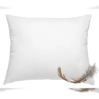 Wometo Federkissen Kissen 100% Federn 70x90 - 1200g OEKO-TEX Füllkissen Bezug Baumwolle weiß / Innenkissen / Füllkissen / Kissenfüllung / kleine Sofakissen