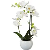 Creativ Green Creativ-green Kunstblume Orchidee, Phalaenopsis, 3D-print, weiß, im Keramik-Topf, Höhe 42 cm