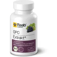 Raab Vitalfood GmbH OPC Extrakt Kapseln Bio 60 St