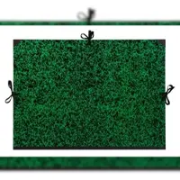 Clairefontaine 5x Zeichenmappe Annonay, Bandverschluss, 61x76cm - Grün 33000C