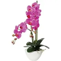 Creativ Green künstliche Pflanze Phalaenopsis x12, 50cm lila, in Keramikschale 14,5x8,5cm weiss, Real Touch