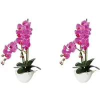 Creativ Green künstliche Pflanze Phalaenopsis, 50cm, "Real Touch", 2er Set