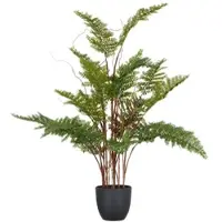 Creativ Green künstliche Pflanze Adlerfarn, 70cm