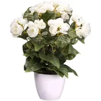 Creativ Green Kunstblume "Begonienbusch", beige (creme), H:35cm, Obermaterial: 85% Polyester, 15% Polyethylen, Kunstpflanzen, Kunstblume