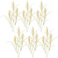 Creativ Green künstliche Pflanze Roggen, 79cm, creme, 6er Set