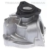 TRISCAN Wasserpumpe 8600 29896