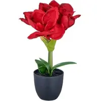Creativ Green Kunstblume "Amaryllis", rot, H:35cm, Polyester, Kunstpflanzen, Kunstblume, mit traumhaft schöner Blüte