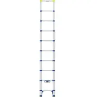 Werner Teleskop Anlegeleiter 2,90m