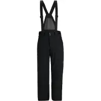 Spyder Boundary Gore-tex Hosen