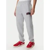 Reebok Jogginghose Bermingham RK25555CCM Grau Relaxed Fit