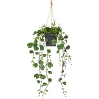 Creativ Green Kunstpflanze "Bauhinia", grün, H:60cm, Kunststoff, Kunstpflanzen, Kunstpflanze, mit detailgetreuen Blattranken