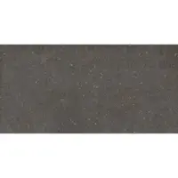 Geotiles Vincen Bodenfliese anthracite 60x120 cm matt VINCEN612AND