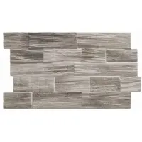 Realonda Driftwood Wandfliese Ebony 31x56 cm matt DRIFTWEB