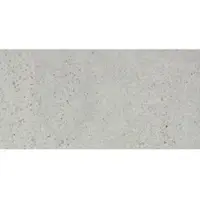 Rako Piazzetta Feinsteinzeug-Fliese hellgrau 30x60 cm matt DAKSE788.1