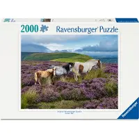 Ravensburger Wildpferde in der Heide 12001751