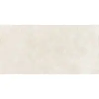 Rako Dale Feinsteinzeug-Fliese swan 30x60 cm Relief DAFSR878.1