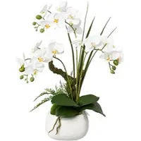 Creativ Green Kunstorchidee "Deko-Orchidee Phalaenopsis im Keramiktopf", weiß, B:20cm H:46cm L:20cm, Obermaterial: 95% Polyethylen, 5% Polyester, Kunstpflanzen, Kunstorchidee