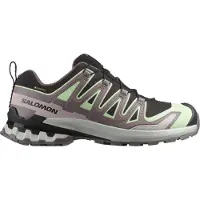 Salomon XA Pro 3D V9 GTX W Wanderschuh Grau in Gr. 37.5