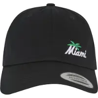 Mister tee Snapback Cap "Miami Palm Tree Dad Cap"