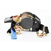 PICARD ZurrGurtPlus mit Spitzhaken 300 cm bis 1000 kg