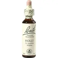 Nelsons Bach-Blüte Holly 20 ML