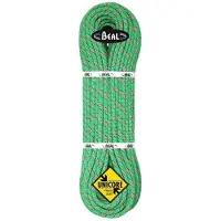 BEAL - Tiger 10 mm - Einfachseil Gr 70 m grün