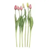 Möbel Kraft Kunstblume TULPENBUND 3030537